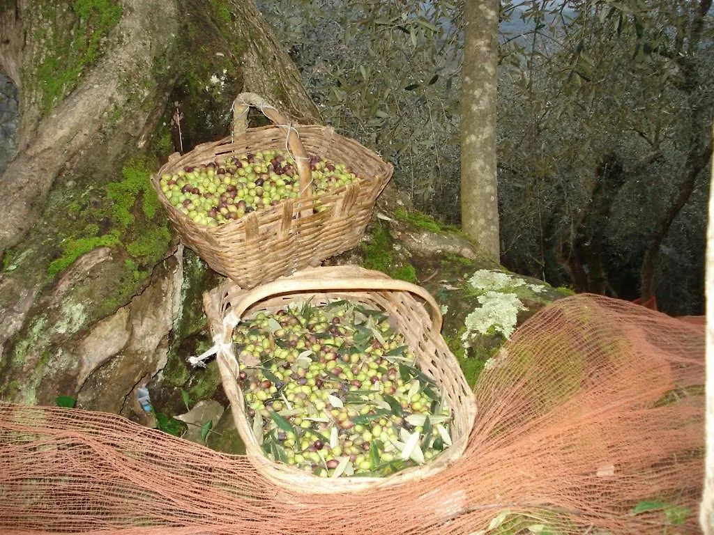 فيلا غارليندافي Agriturismo A Veggia Vigna 0*, غارليندا
