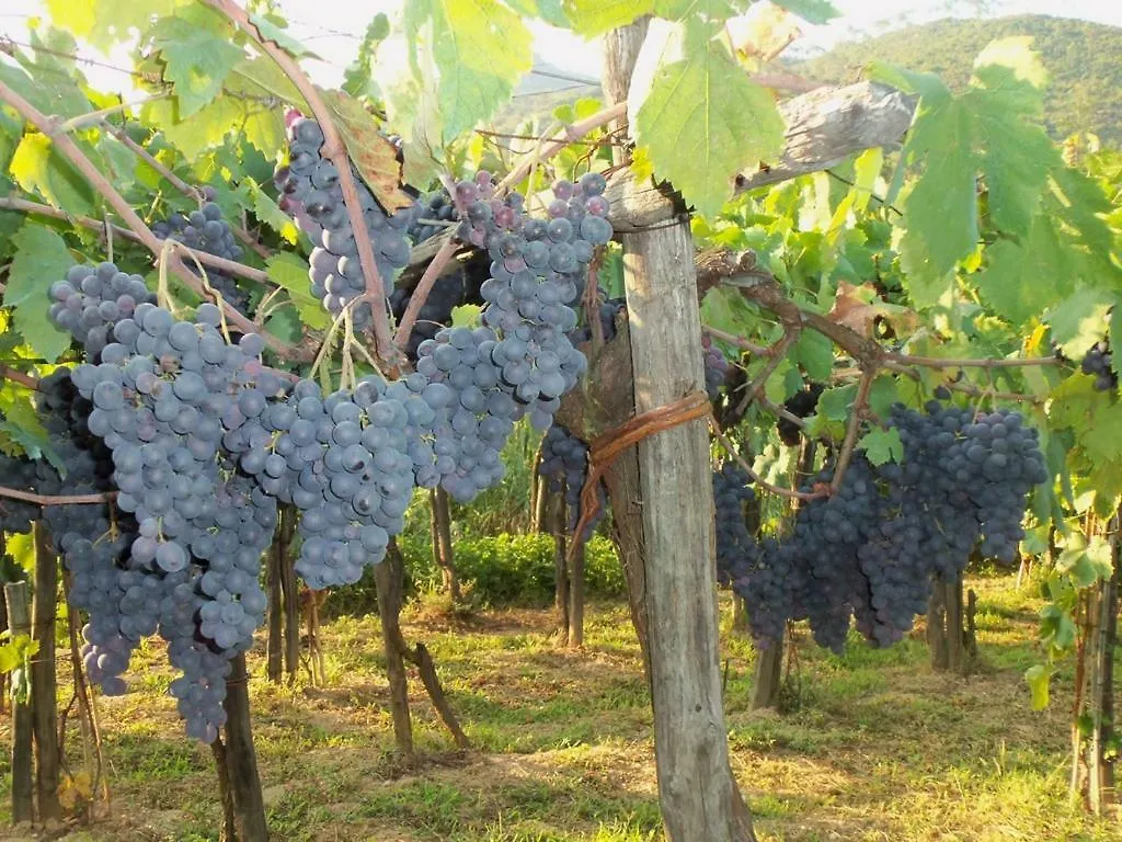 مزرعة للإقامة فيلا غارليندافي Agriturismo A Veggia Vigna