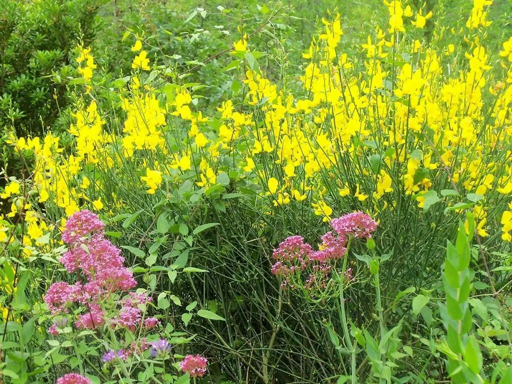 فيلا غارليندافي Agriturismo A Veggia Vigna مزرعة للإقامة غارليندا